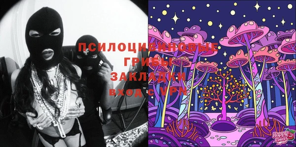 шишки Аркадак