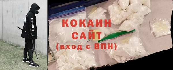 шишки Аркадак
