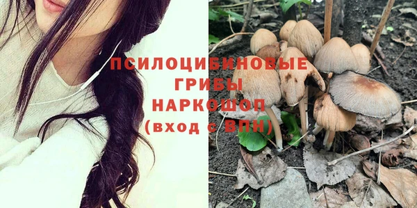 индика Арсеньев