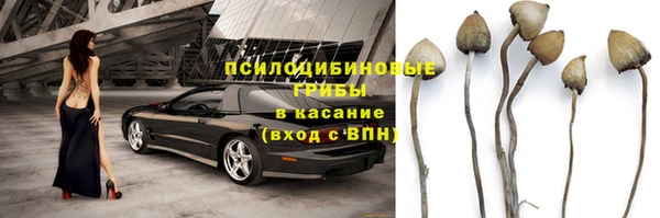 шишки Аркадак