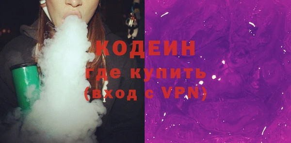 индика Арсеньев