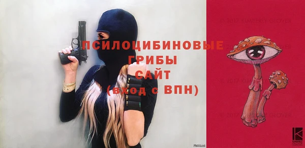 шишки Аркадак