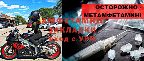 индика Арсеньев