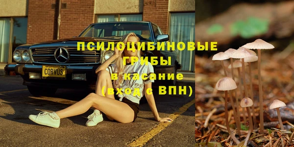 шишки Аркадак