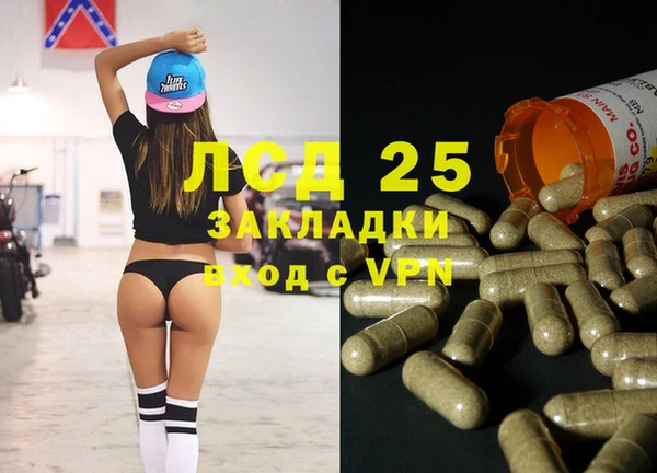 индика Арсеньев