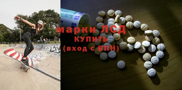 индика Арсеньев