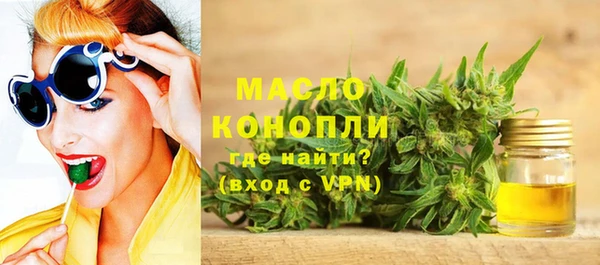 индика Арсеньев