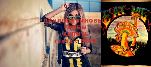 шишки Аркадак