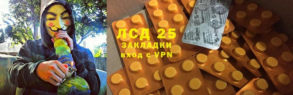шишки Аркадак
