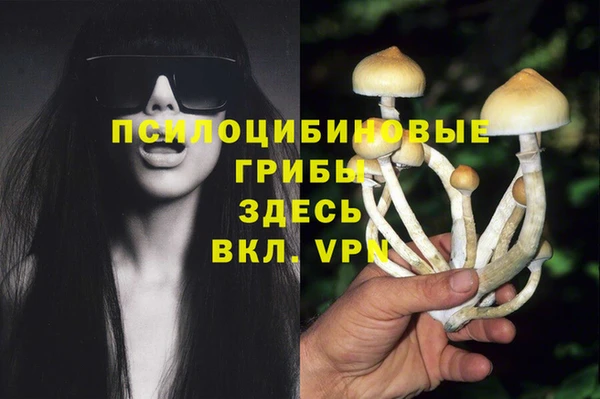 шишки Аркадак
