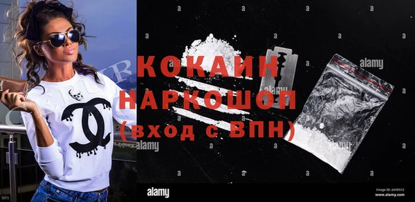 индика Арсеньев