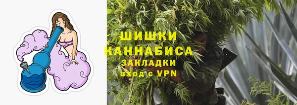 индика Арсеньев