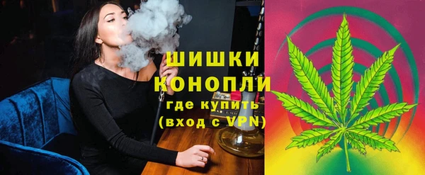 индика Арсеньев